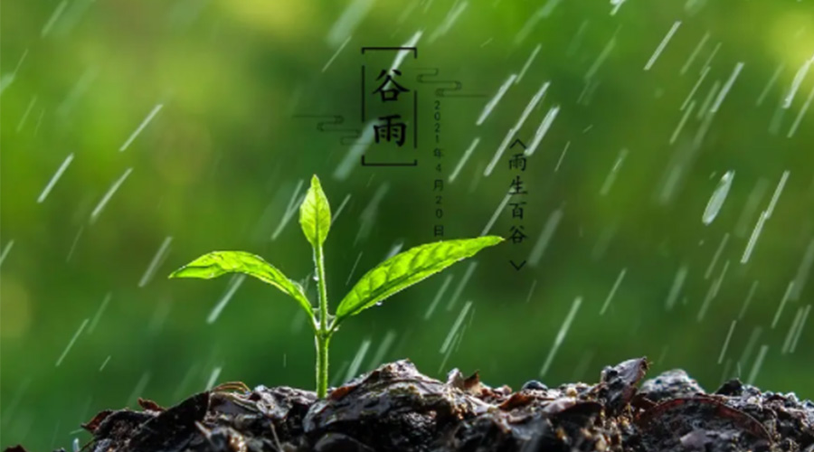 金環(huán)電器告訴你谷雨時(shí)節(jié)的注意事項(xiàng)